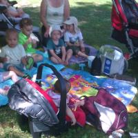 suivie d'un picnic