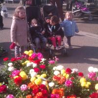visite au marché aux fleurs